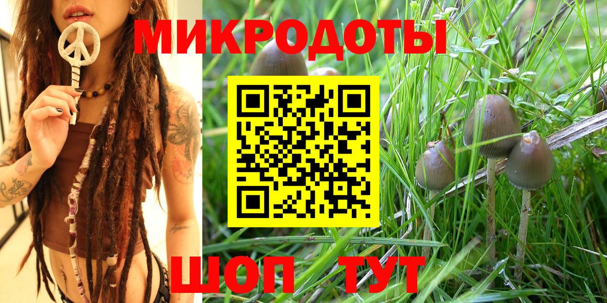 Псилоцибиновые грибы GOLDEN TEACHER  Вход с VPN  Егорьевск 